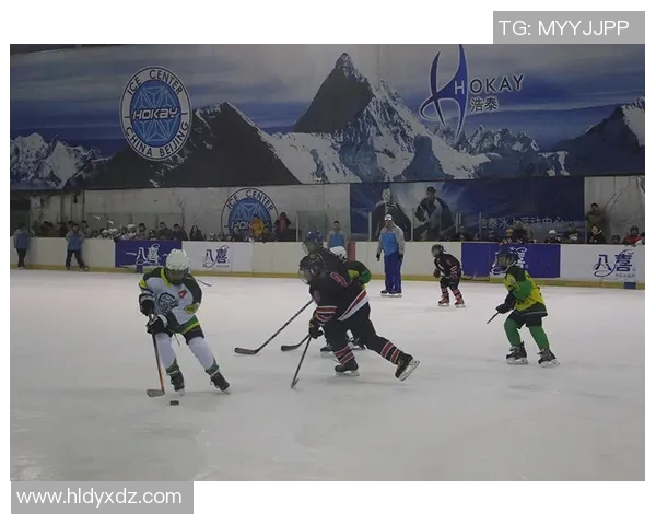 冰上运动项目的魅力与挑战探讨冰雪竞技的激情与技术之美